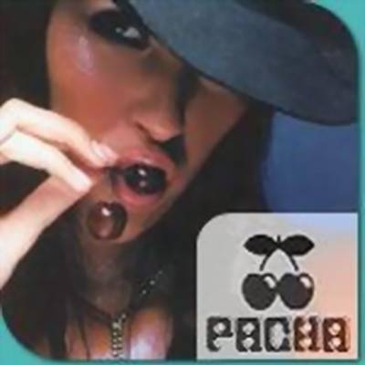 pacha live